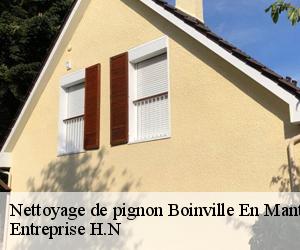 Nettoyage de pignon  boinville-en-mantois-78930 Entreprise H.N