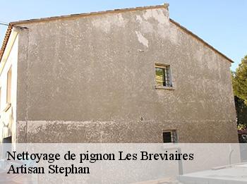 Nettoyage de pignon  les-breviaires-78610 Artisan Stephan