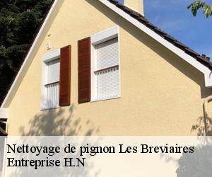 Nettoyage de pignon  les-breviaires-78610 Entreprise H.N