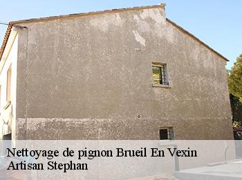 Nettoyage de pignon  brueil-en-vexin-78440 Artisan Stephan