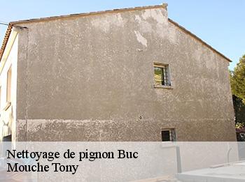 Nettoyage de pignon  buc-78530 Mouche Tony