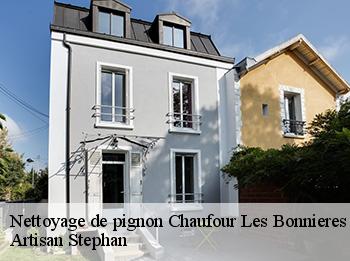 Nettoyage de pignon  78270
