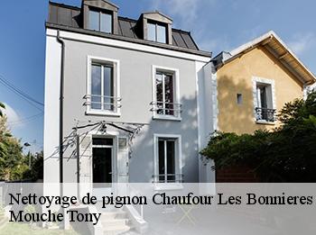 Nettoyage de pignon  78270