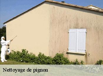 Nettoyage de pignon