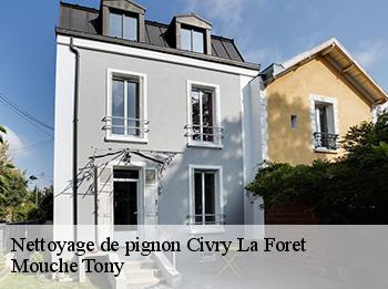 Nettoyage de pignon  78910