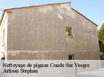 Nettoyage de pignon  conde-sur-vesgre-78113 Artisan Stephan