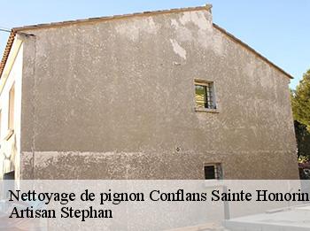 Nettoyage de pignon  conflans-sainte-honorine-78700 Artisan Stephan