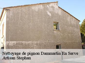 Nettoyage de pignon  dammartin-en-serve-78111 Artisan Stephan