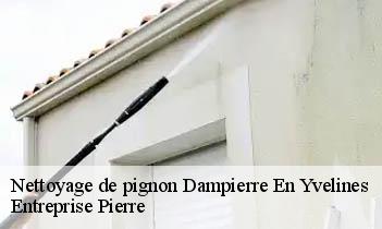 Nettoyage de pignon dampierre-en-yvelines-78720 Entreprise Pierre