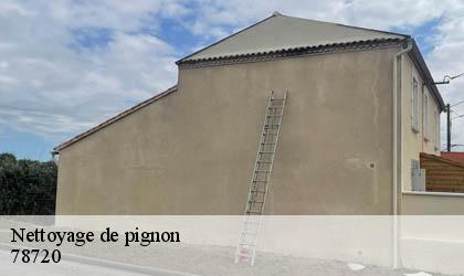 Nettoyage de pignon 78720