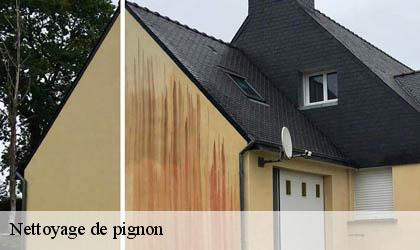 Nettoyage de pignon