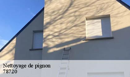 Nettoyage de pignon