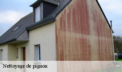 Nettoyage de pignon 78720