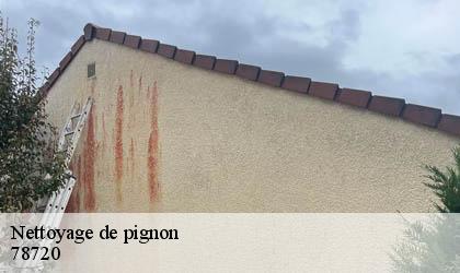 Nettoyage de pignon 78720
