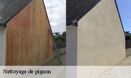 Nettoyage de pignon