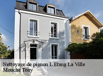 Nettoyage de pignon  78620