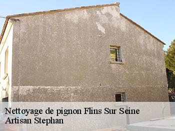 Nettoyage de pignon  flins-sur-seine-78410 Artisan Stephan