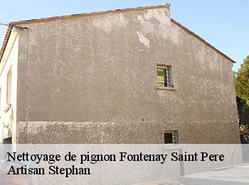 Nettoyage de pignon  fontenay-saint-pere-78440 Artisan Stephan