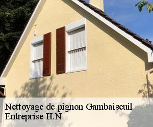 Nettoyage de pignon  gambaiseuil-78490 Entreprise H.N