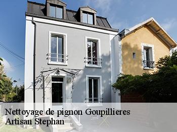 Nettoyage de pignon  78770