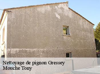 Nettoyage de pignon  gressey-78550 Mouche Tony