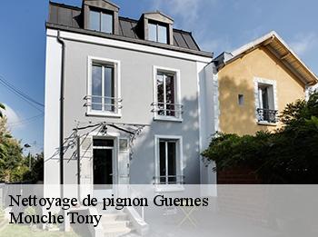 Nettoyage de pignon  78520