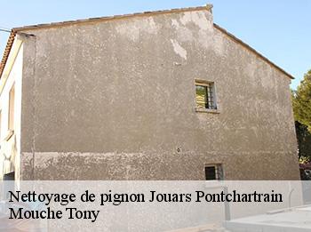 Nettoyage de pignon jouars-pontchartrain-78760 Mouche Tony