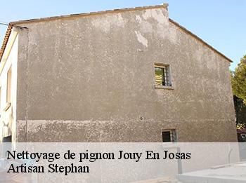 Nettoyage de pignon  jouy-en-josas-78350 Artisan Stephan