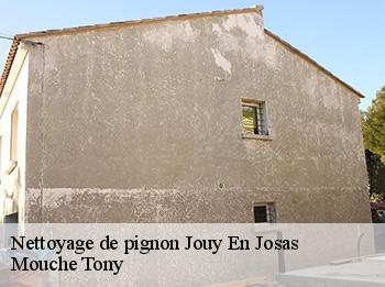 Nettoyage de pignon  jouy-en-josas-78350 Mouche Tony