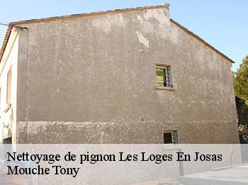 Nettoyage de pignon  les-loges-en-josas-78350 Mouche Tony