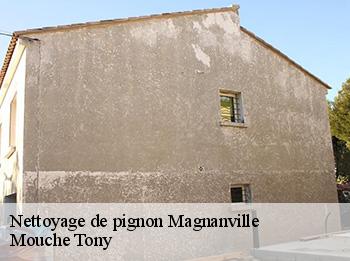 Nettoyage de pignon  magnanville-78200 Mouche Tony