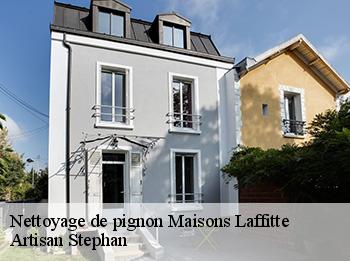 Nettoyage de pignon  78600