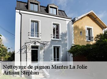 Nettoyage de pignon  78200
