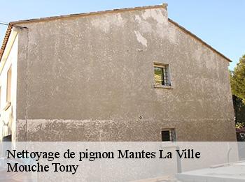 Nettoyage de pignon  mantes-la-ville-78200 Mouche Tony