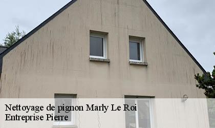 Nettoyage de pignon