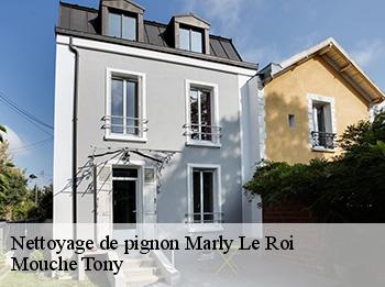 Nettoyage de pignon  78160