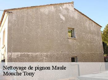 Nettoyage de pignon  maule-78580 Mouche Tony