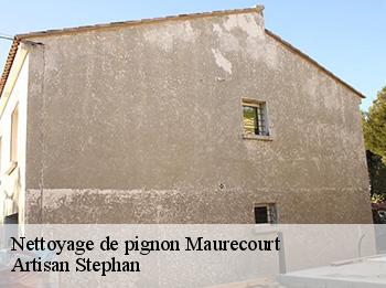 Nettoyage de pignon  maurecourt-78780 Artisan Stephan