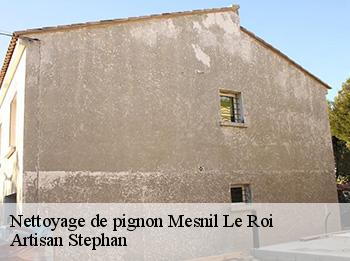 Nettoyage de pignon  mesnil-le-roi-78600 Artisan Stephan