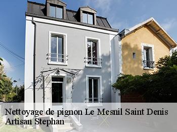 Nettoyage de pignon  78320