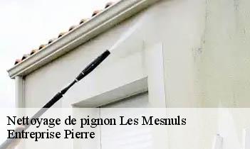 Nettoyage de pignon les-mesnuls-78490 Entreprise Pierre