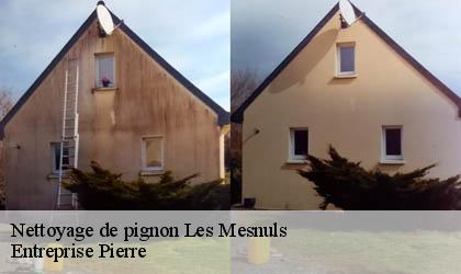 Nettoyage de pignon 78490