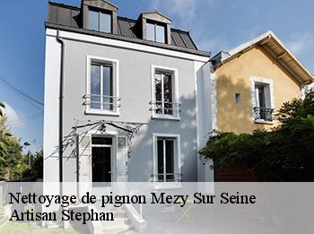 Nettoyage de pignon  78250