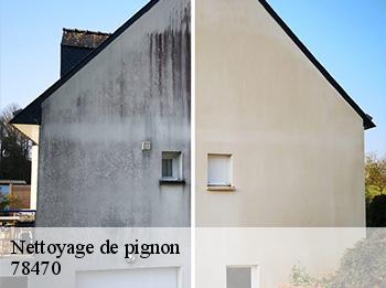 Nettoyage de pignon  78470