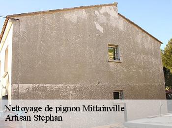 Nettoyage de pignon  mittainville-78125 Artisan Stephan