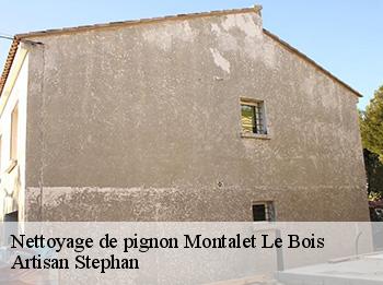 Nettoyage de pignon  montalet-le-bois-78440 Artisan Stephan