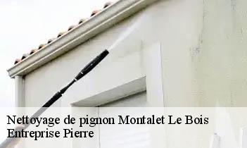 Nettoyage de pignon montalet-le-bois-78440 Entreprise Pierre