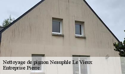 Nettoyage de pignon