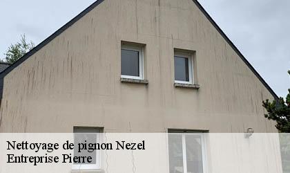 Nettoyage de pignon