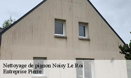 Nettoyage de pignon